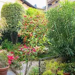 Apartment Easylife - Como - Coloniola 32 - Lago Di Como Como