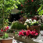 Easylife - Como - Coloniola 32 - Lago Di Como