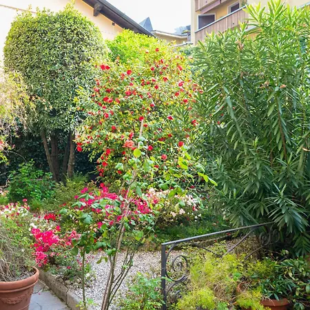Apartment Easylife - - Coloniola 32 - Di Como
