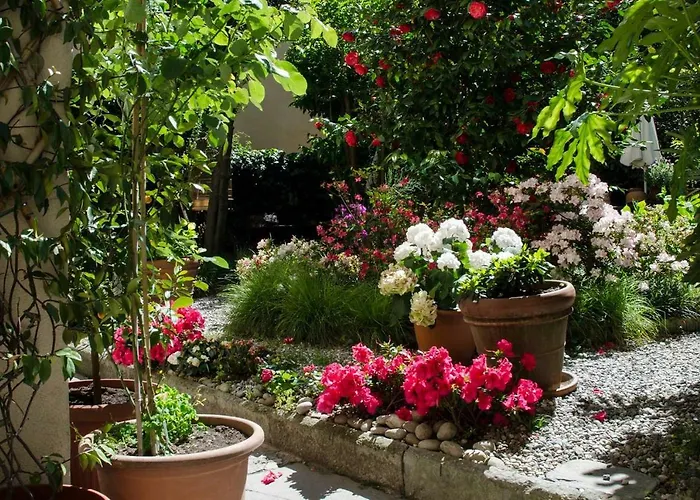 Easylife - Como - Coloniola 32 - Lago Di Como